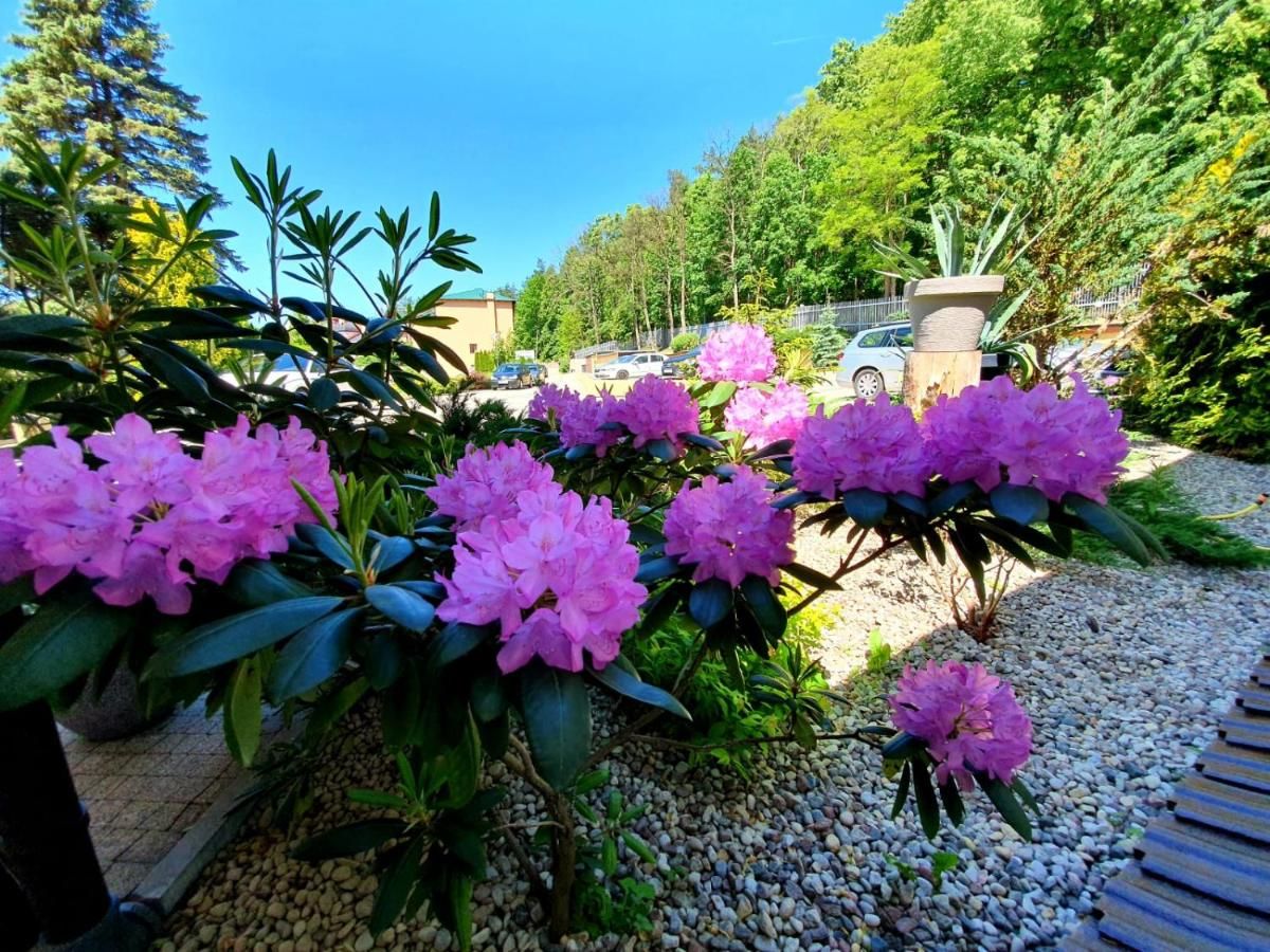 Отель Hotel Mazuria Мронгово